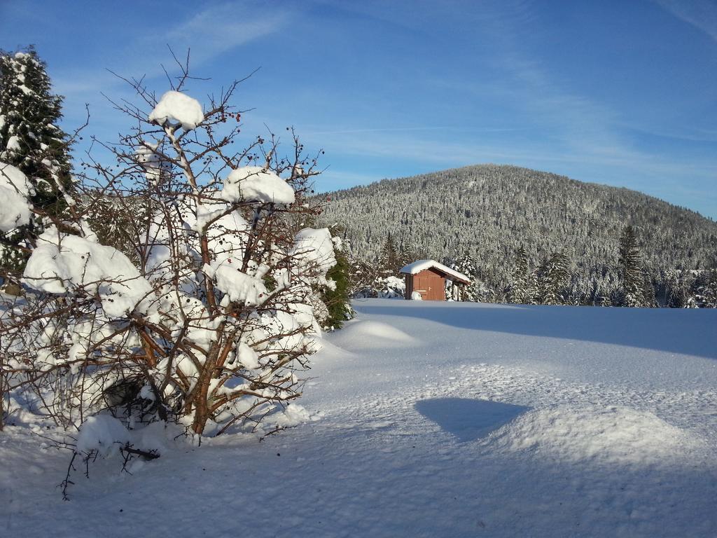B&B Chalet L'Epinette Gérardmer Kültér fotó