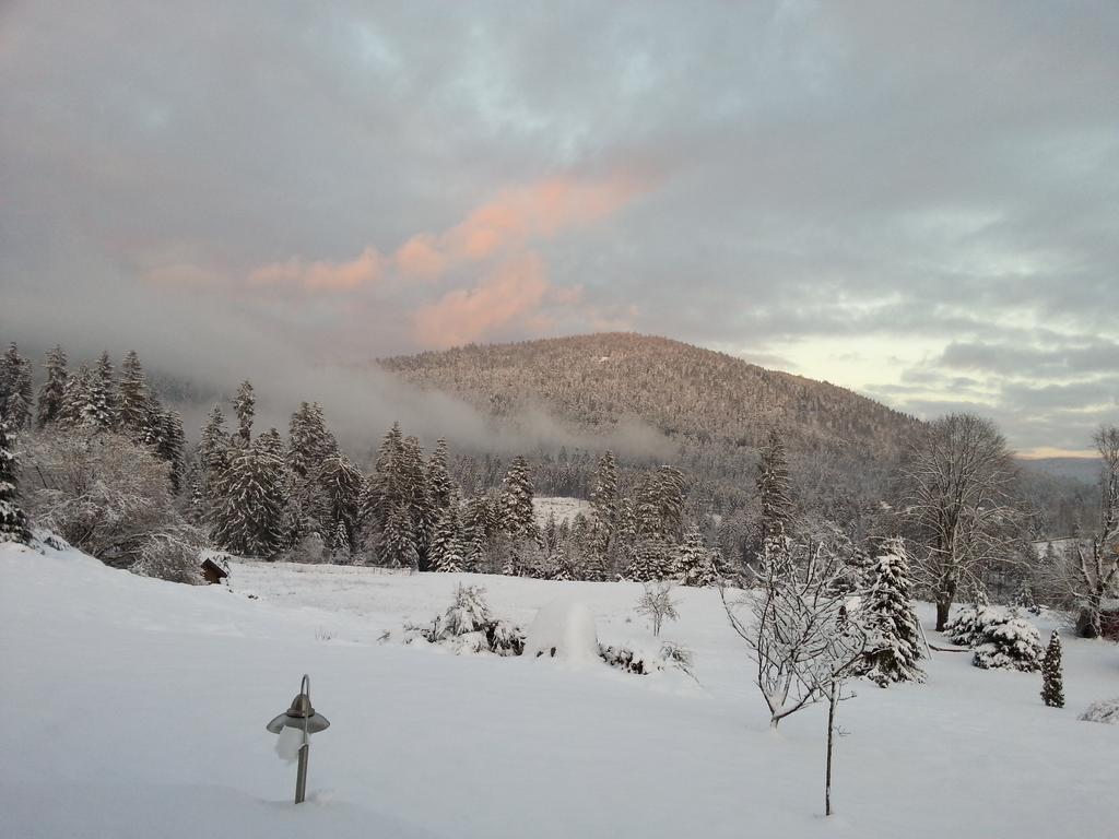 B&B Chalet L'Epinette Gérardmer Kültér fotó
