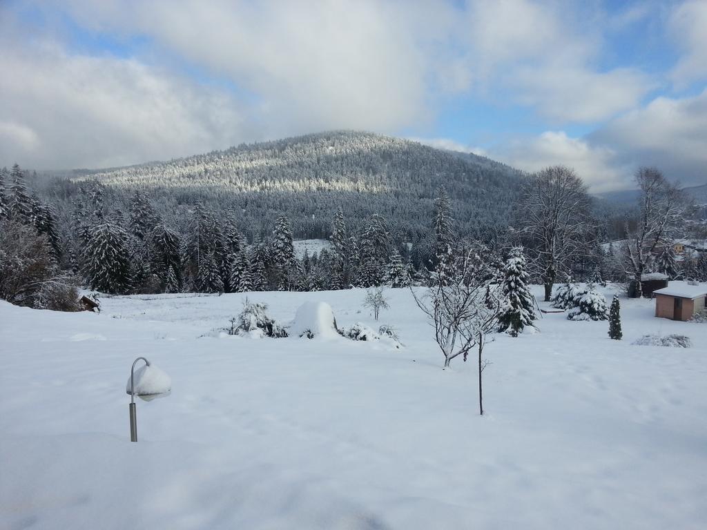 B&B Chalet L'Epinette Gérardmer Kültér fotó