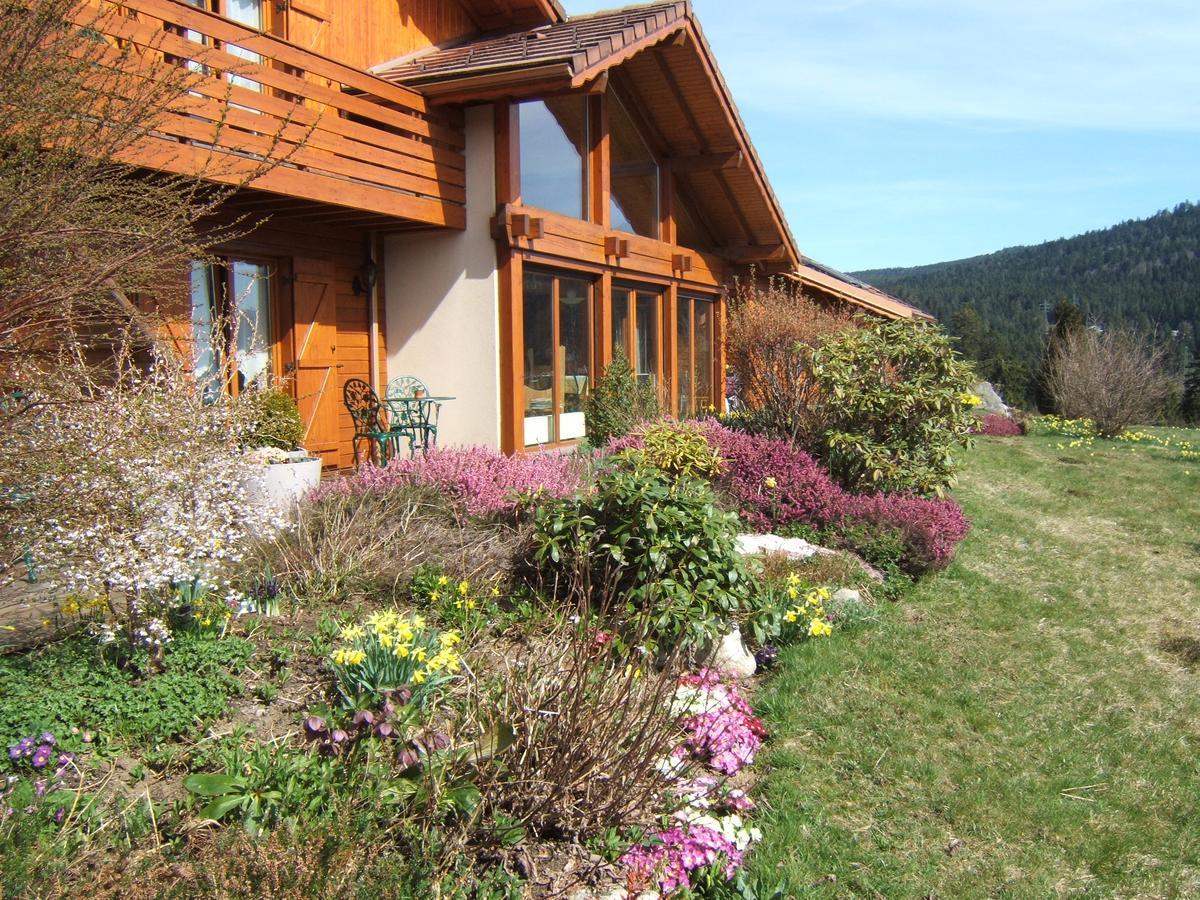 B&B Chalet L'Epinette Gérardmer Kültér fotó