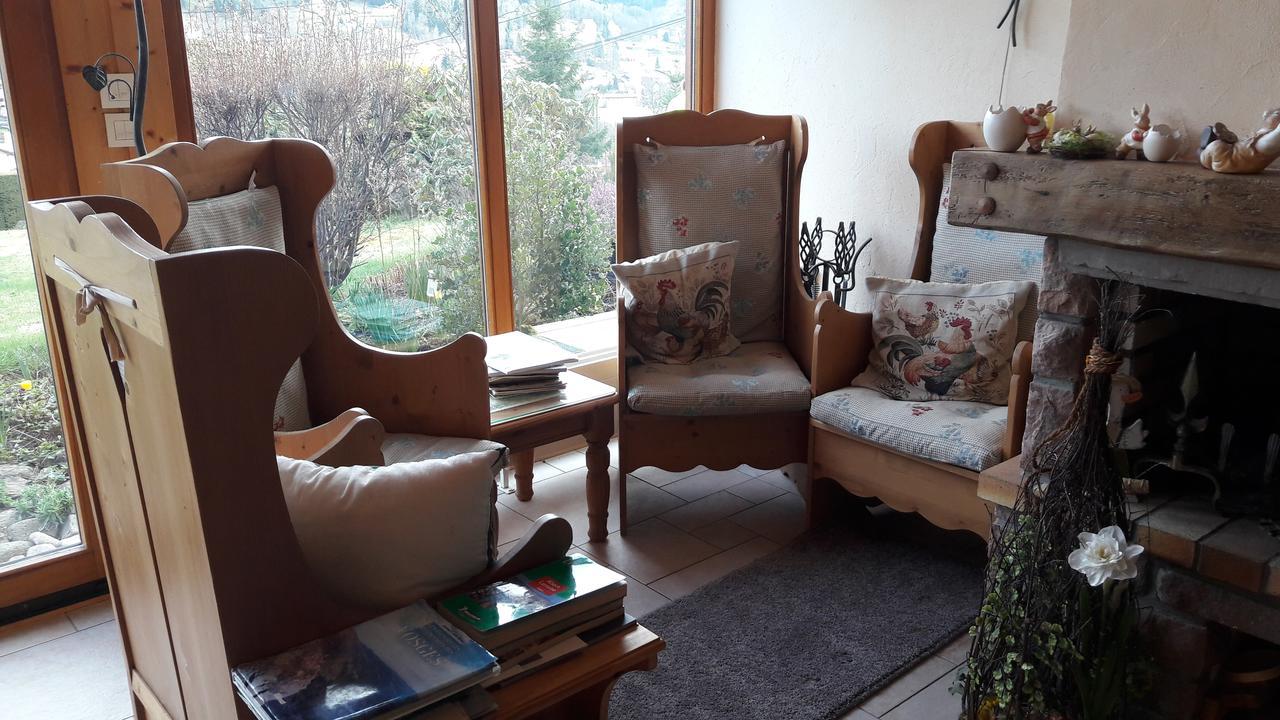 B&B Chalet L'Epinette Gérardmer Kültér fotó
